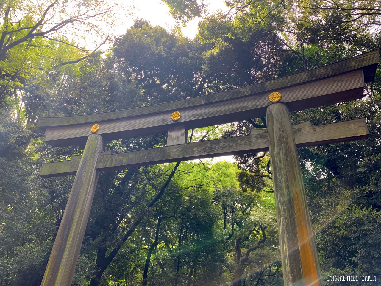 jinja
