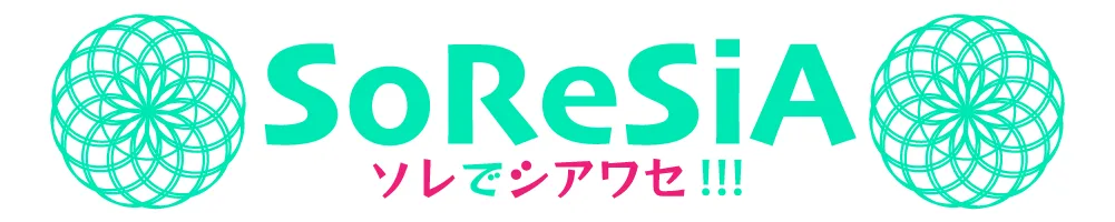 SoReSiA｜地球を遊ぶHappy検証Lab